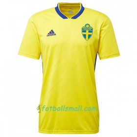 Sverige Fotbollströjor WM 2018 Hemma tröja